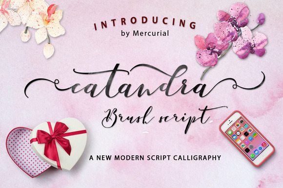 Catandra Script: A Modern Touch for Authentic Design