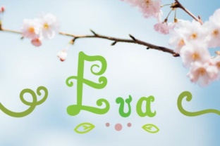 Eva Script: A Playful Hand-Drawn Font for Creative Projects
