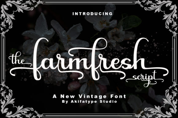 Farmfresh Script: Bold Vintage Charm for Modern Design