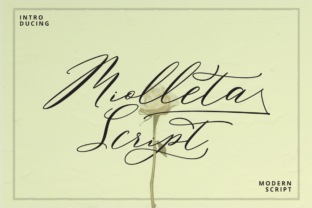 Miolleta Script: A Modern Font for Creative Design