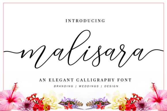Why Designers Are Falling for the Malisara Script Typeface